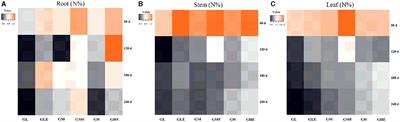 Effect of endophytic diazotroph Enterobacter roggenkampii ED5 on nitrogen-metabolism-related microecology in the sugarcane rhizosphere at different nitrogen levels